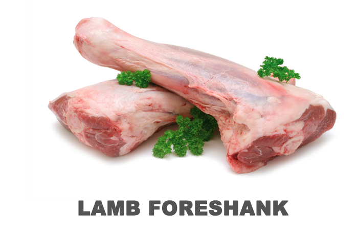 foreshank.png